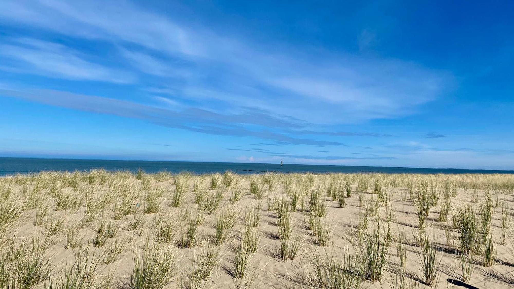 Royal Knokke 아파트 외부 사진